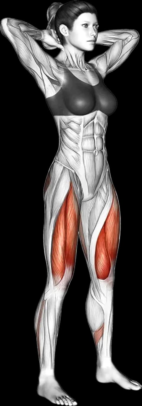 Demo of squats with the working muscles highlighted